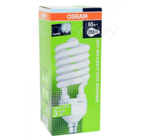 CFL Lamp - High Watt, 65 Watt Carton